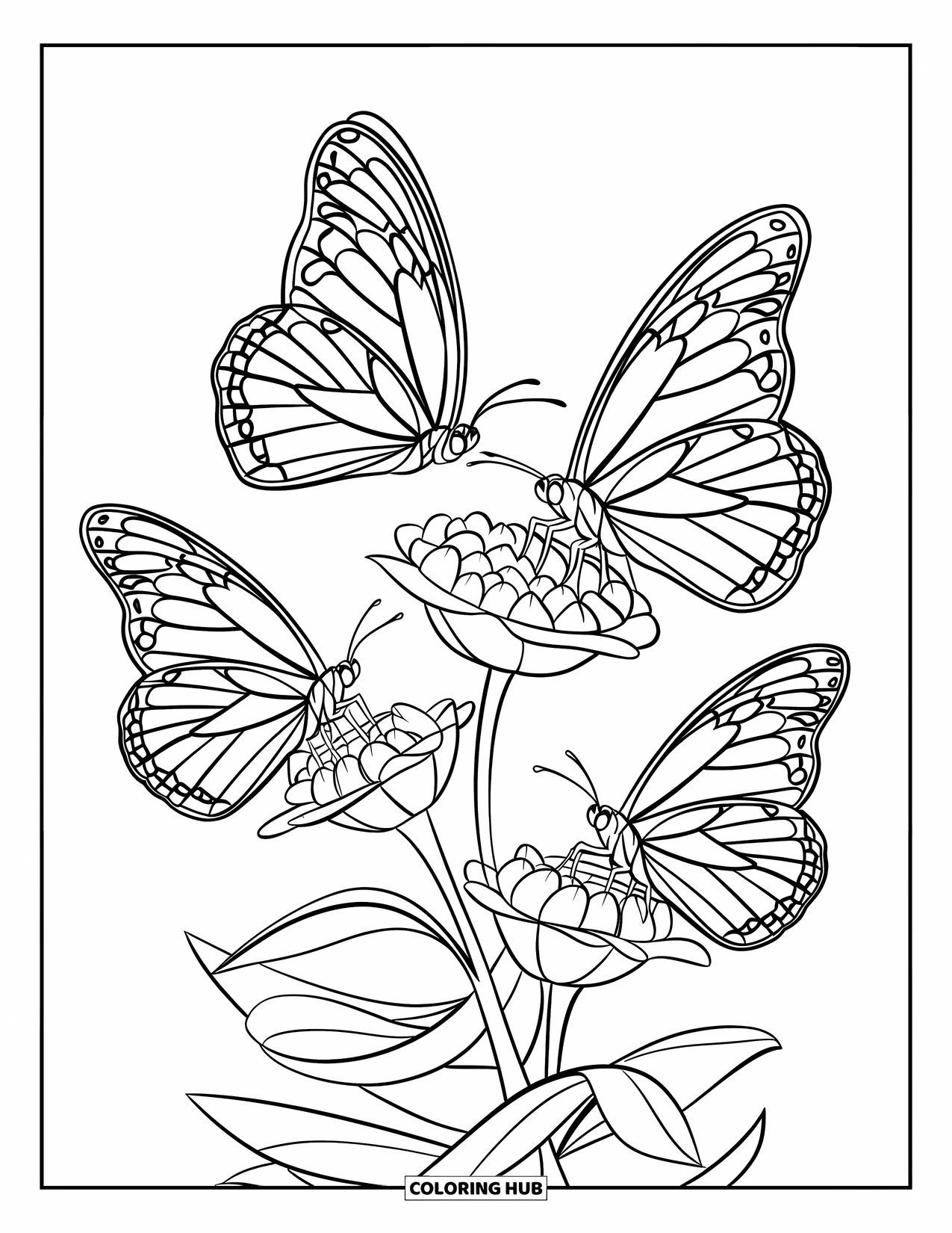 August Coloring Page for Kids: Butterflies perched on bold, detailed flower cluster