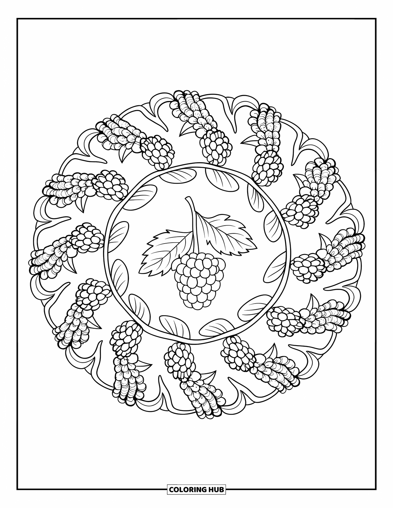 Berry Coloring Page for Adults: Blackberry with leaves centered in a mandala of berry vines
