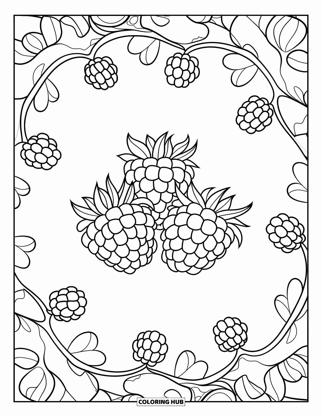 Berry Coloring Page for Adults: Bunch of raspberries with swirling mandala-style berry branches