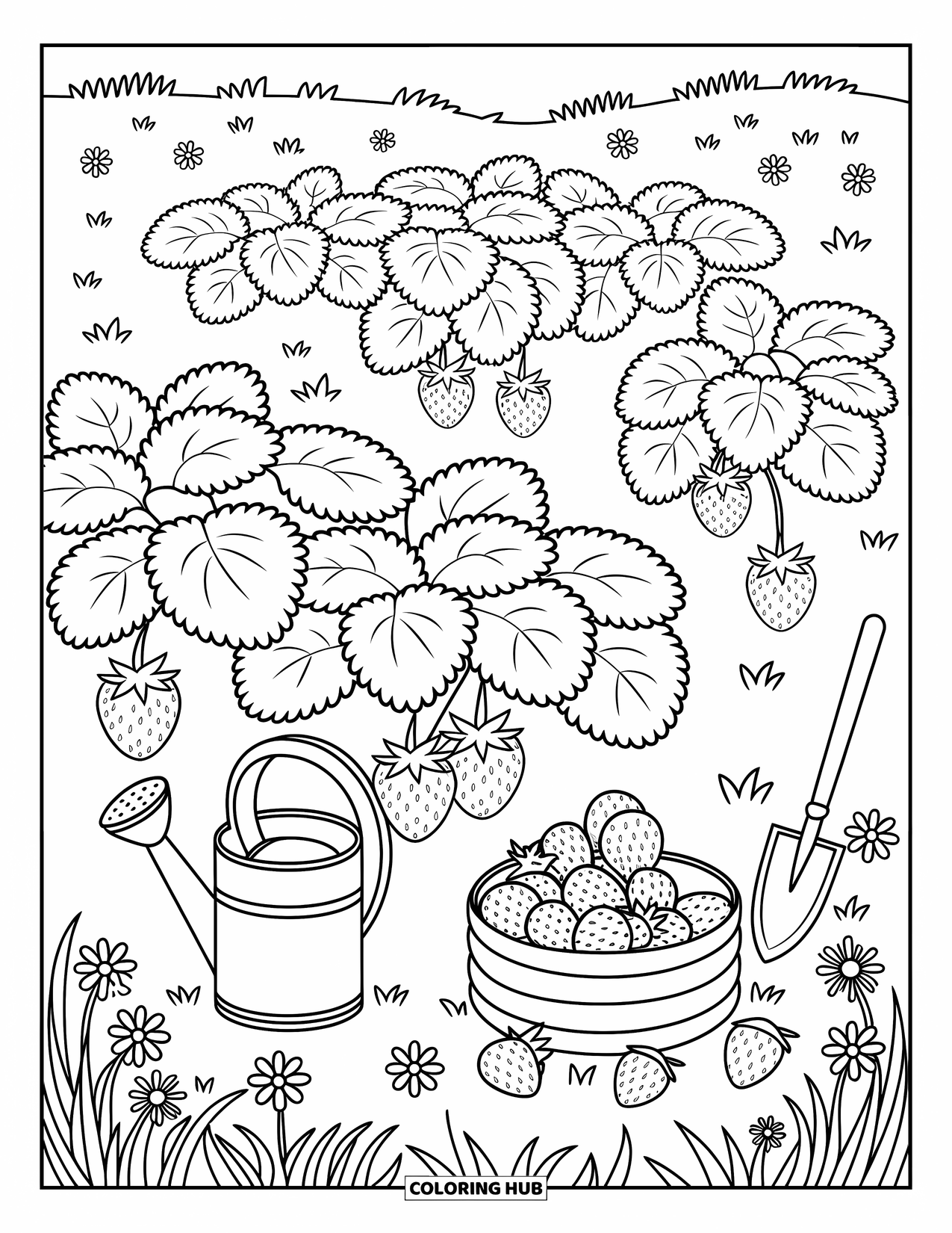 Berry Coloring Page for Adults: Cozy strawberry patch with leafy vines, berries, and little garden tools