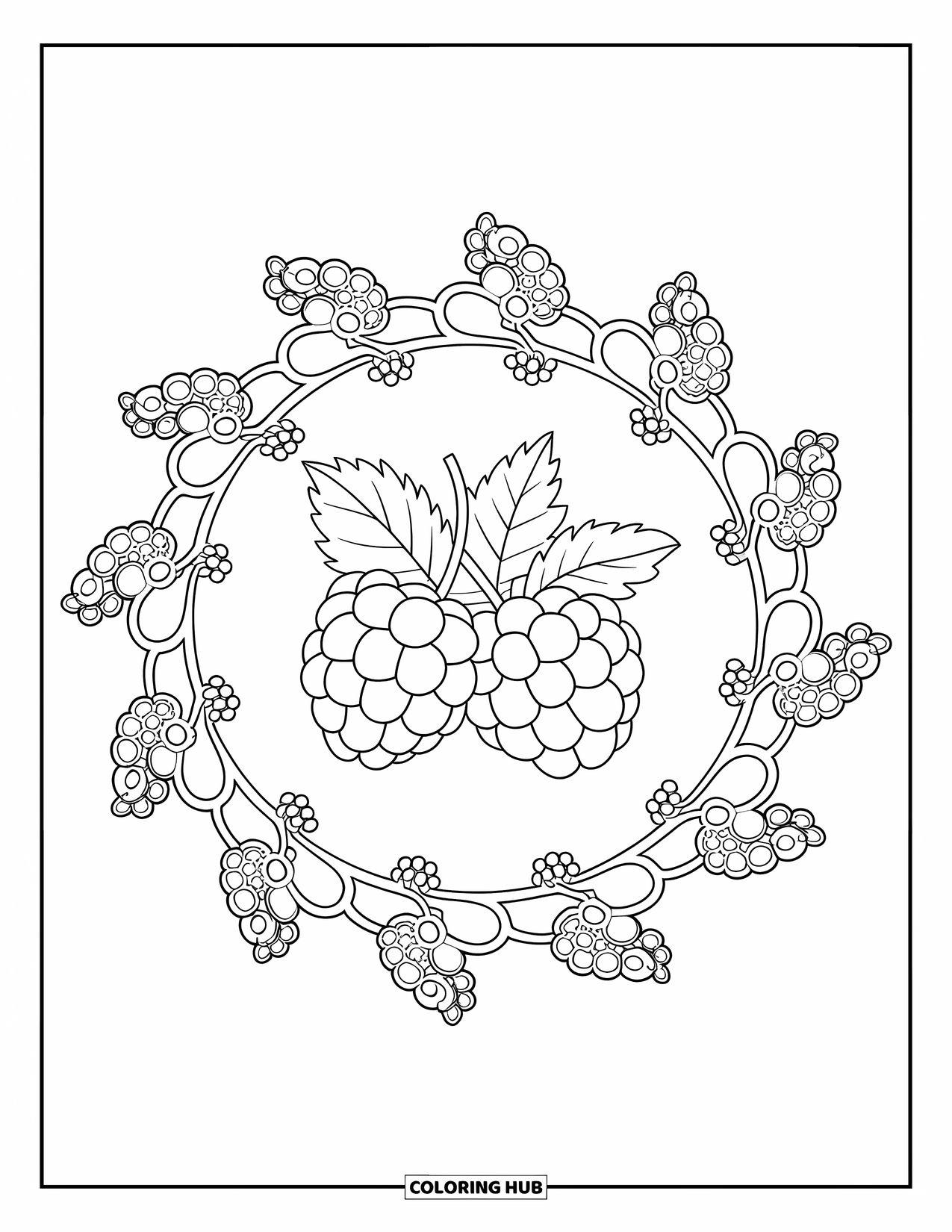 Berry Coloring Page for Adults: Mandala of berry clusters circling a central blackberry and leaves