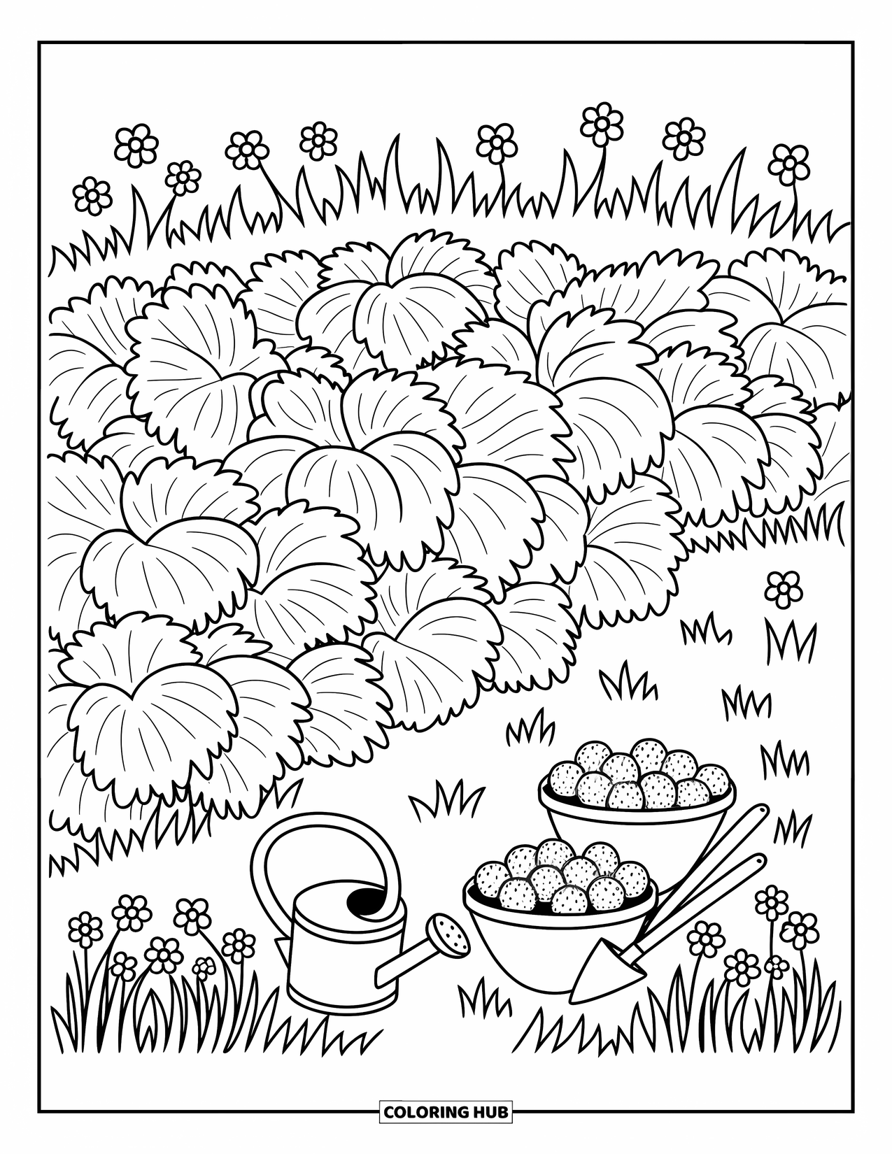 Berry Coloring Page for Adults: Strawberry field with leaves, wildflowers, and cozy garden props