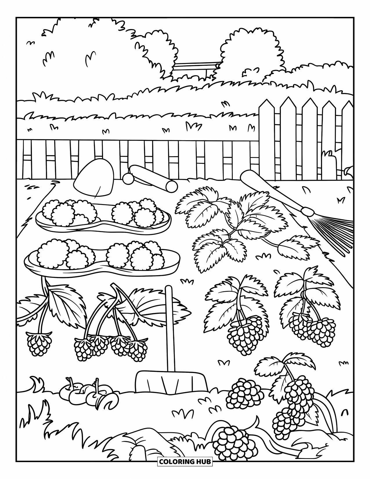 Berry Coloring Page for Kids: Berry patch with plants and tools in the garden
