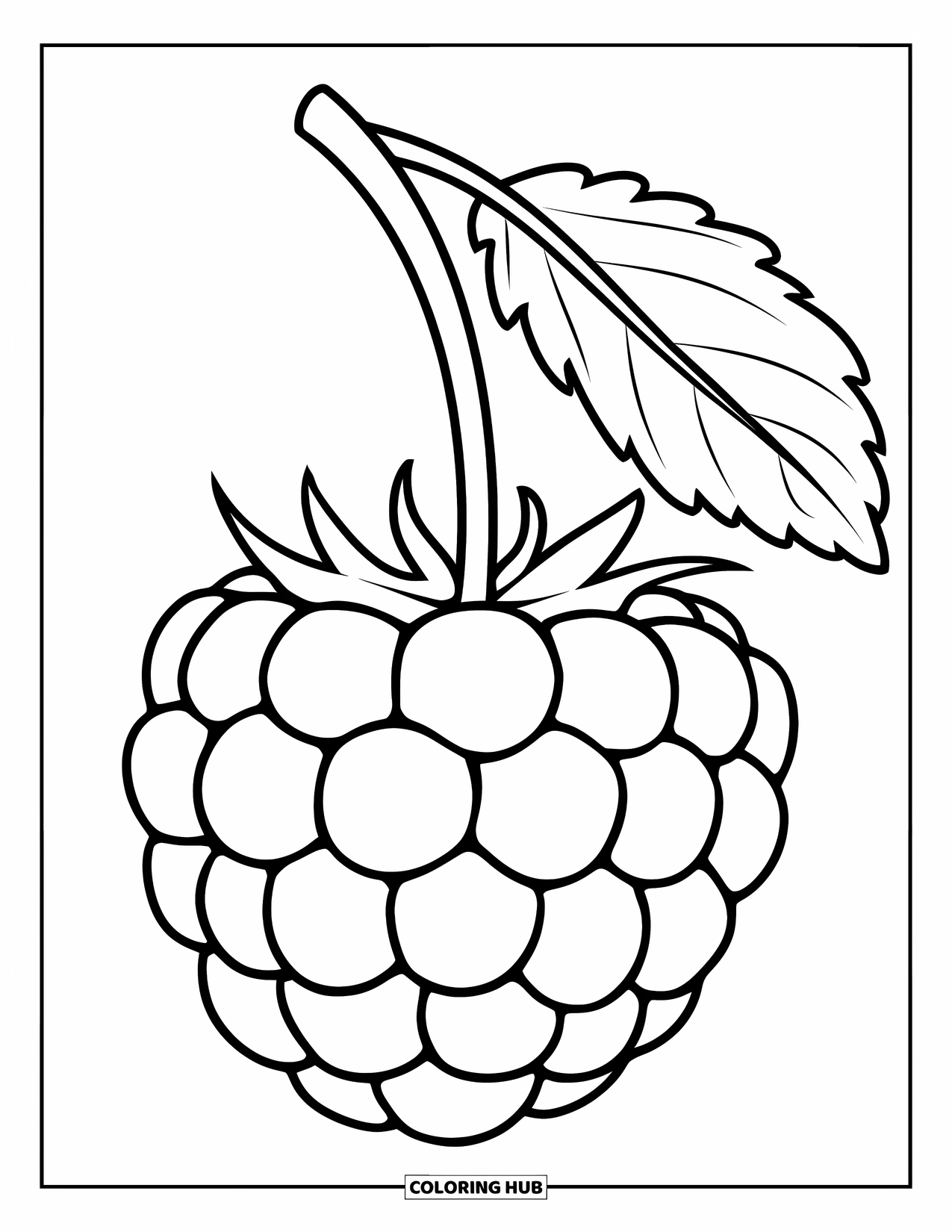 Berry Coloring Page for Kids: Big blackberry with a thin stem connected to a leaf