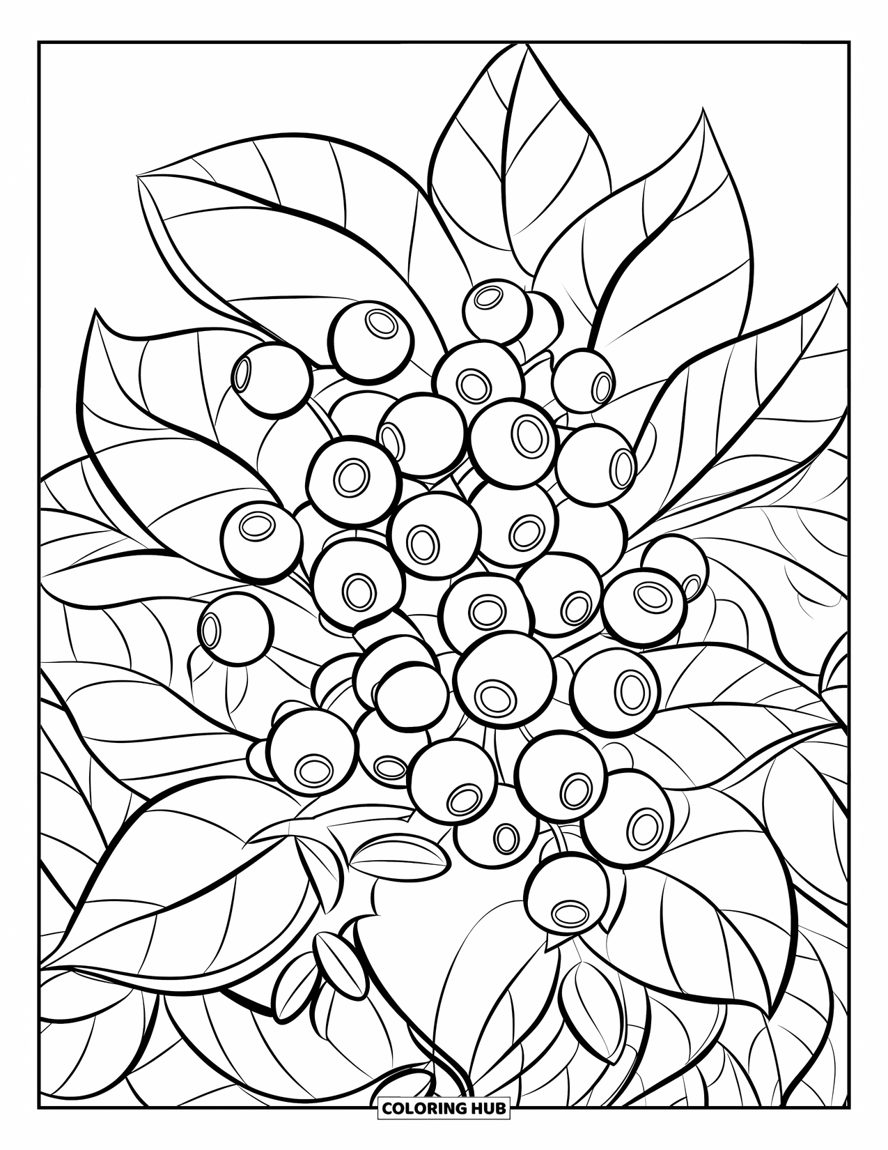 Berry Coloring Page for Kids: Blueberry bush with large leaves and clean outlines