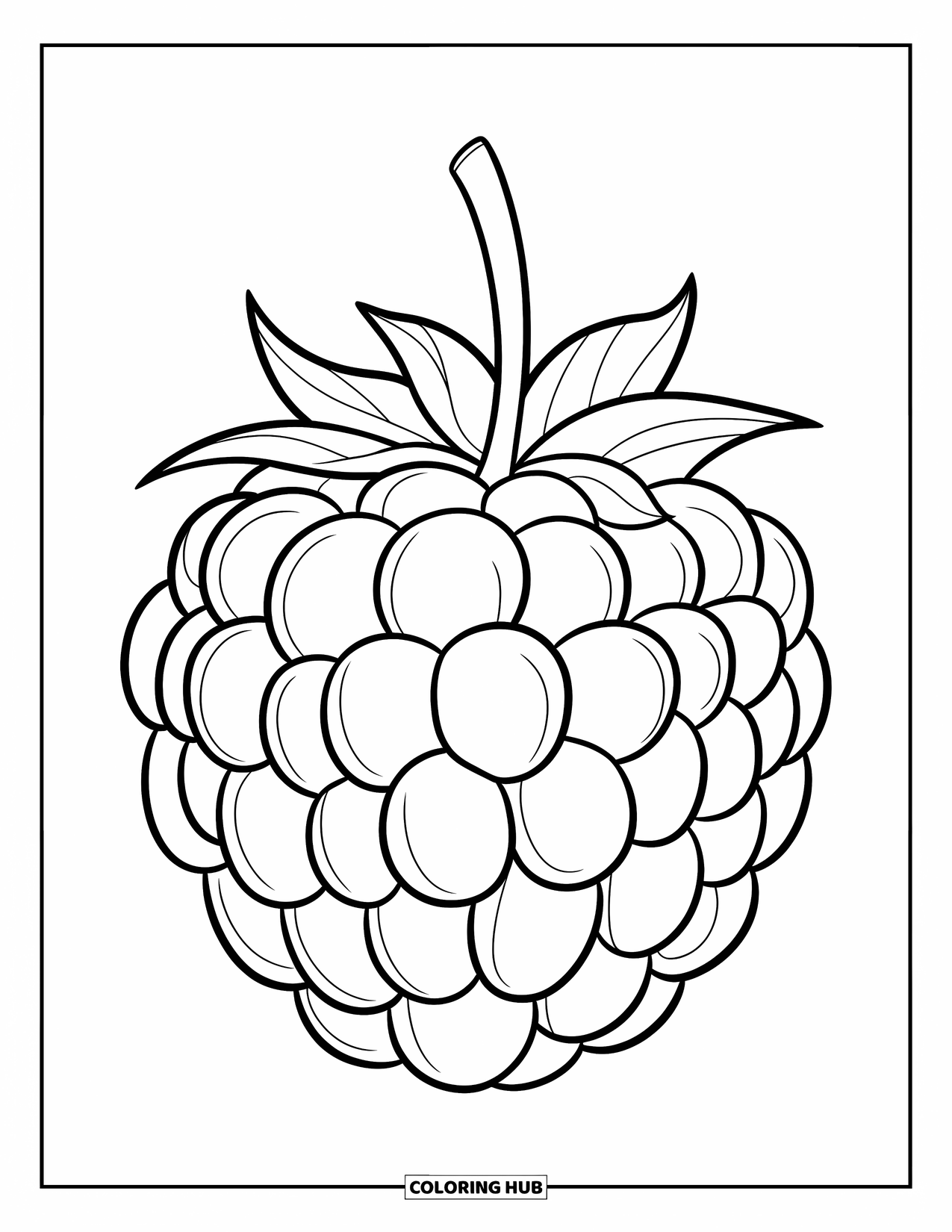 Berry Coloring Page for Kids: Boysenberry with smooth curves and a stem on a white background