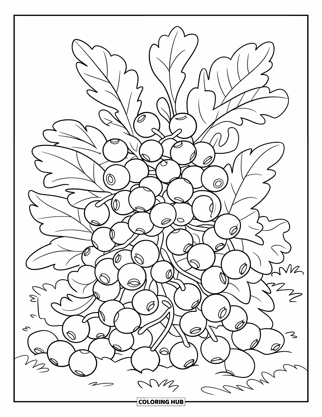 Berry Coloring Page for Kids: Bush with blueberries and scattered berries on the ground