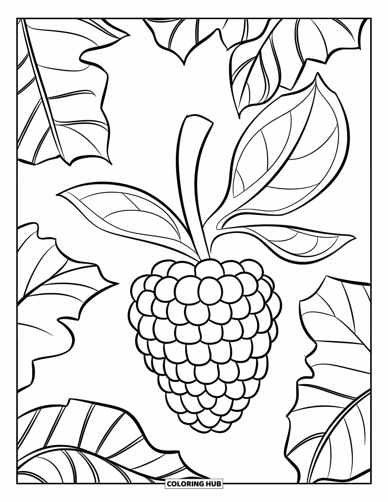 Berry Coloring Page for Kids: Elongated mulberry with simple dotted texture and cheerful look