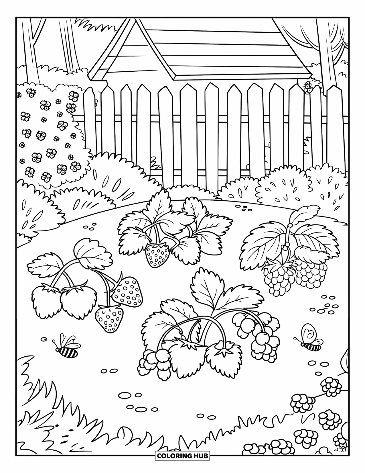 Berry Coloring Page for Kids: Garden full of berry plants with bees and butterflies