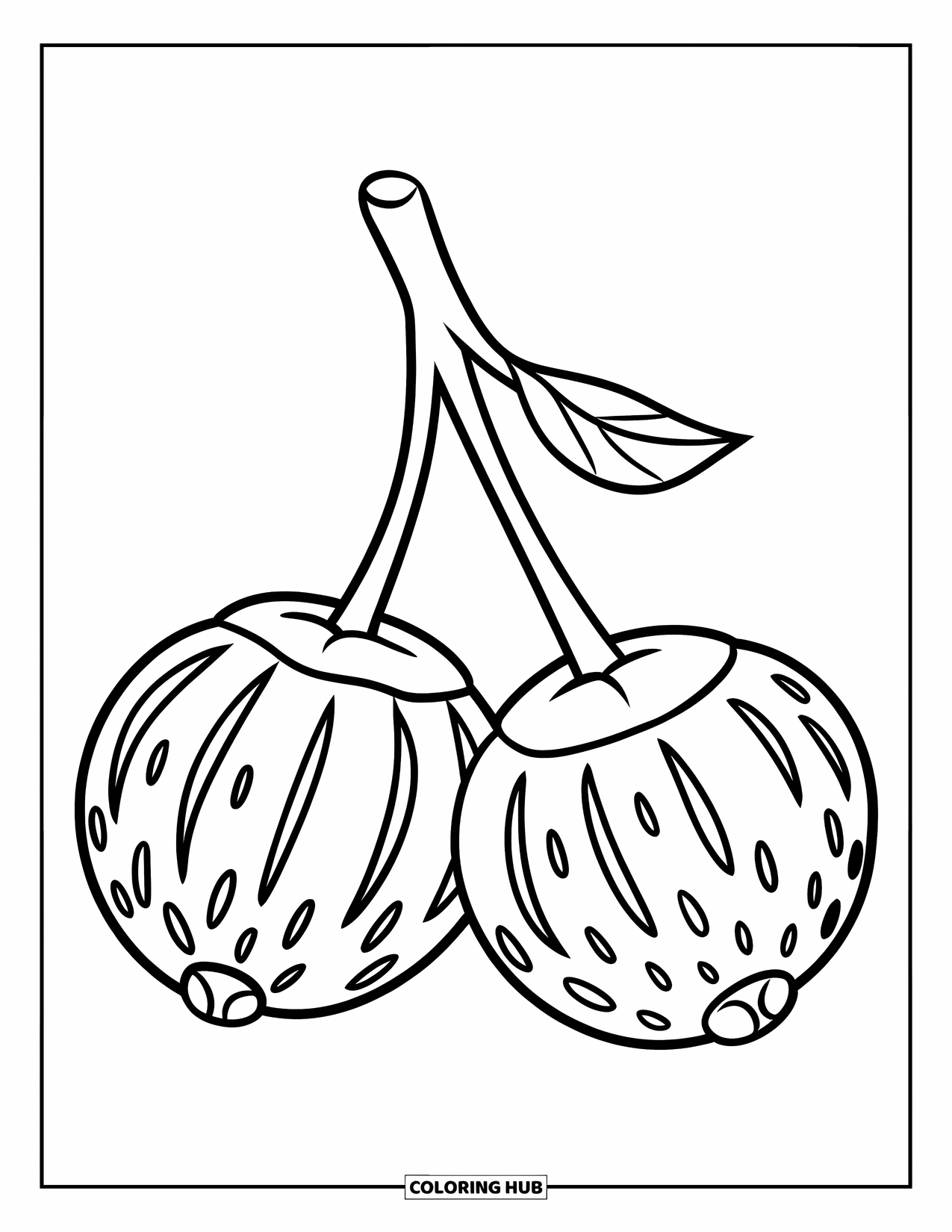 Berry Coloring Page for Kids: Gooseberry with smooth round shape and thin stem