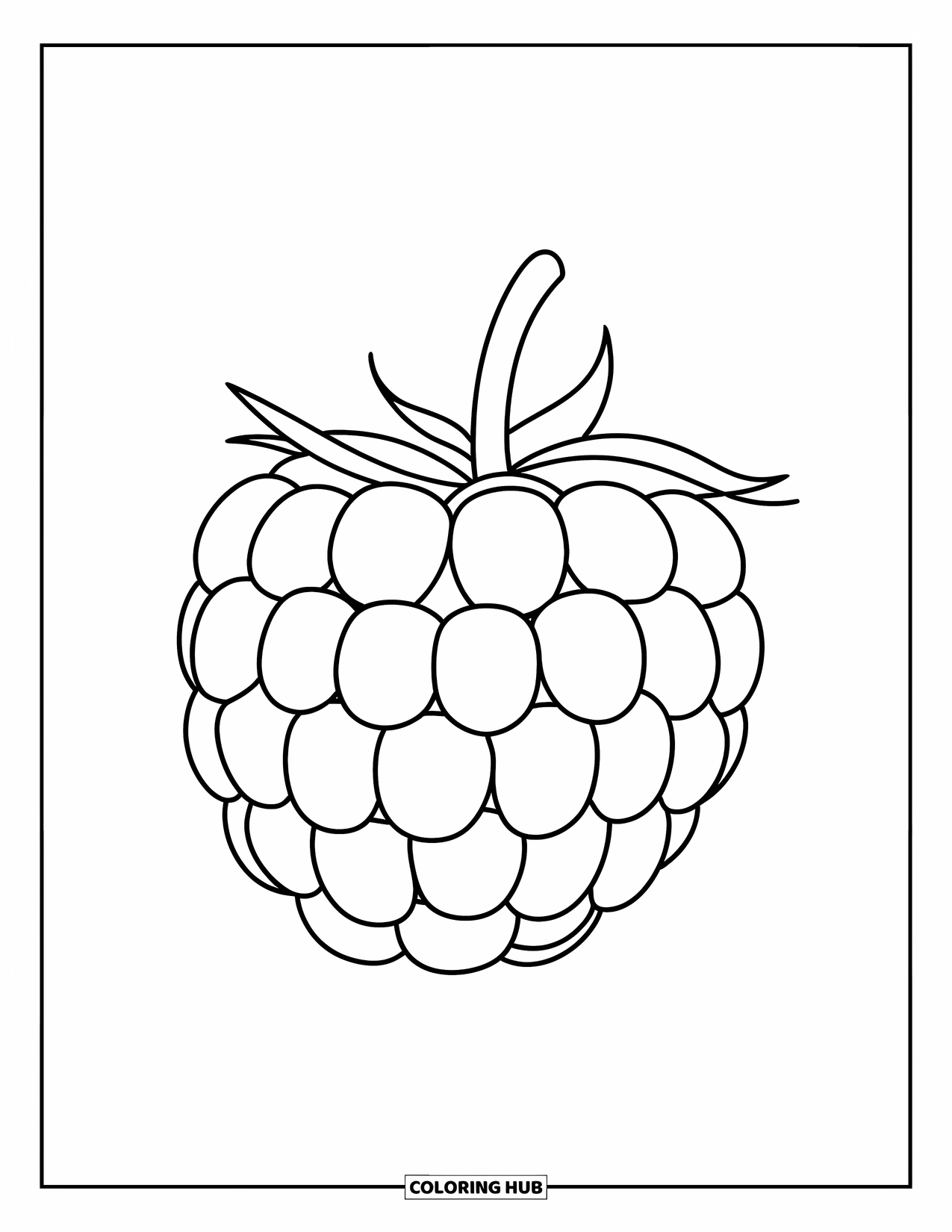 Berry Coloring Page for Kids: Simple boysenberry with seeds and a stem, easy to color
