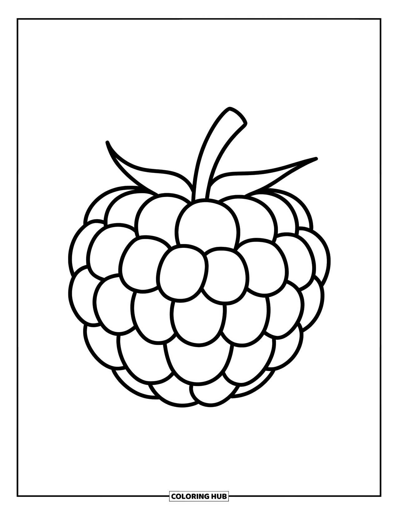 Berry Coloring Page for Kids: Single boysenberry with gentle curves and a leafy stem
