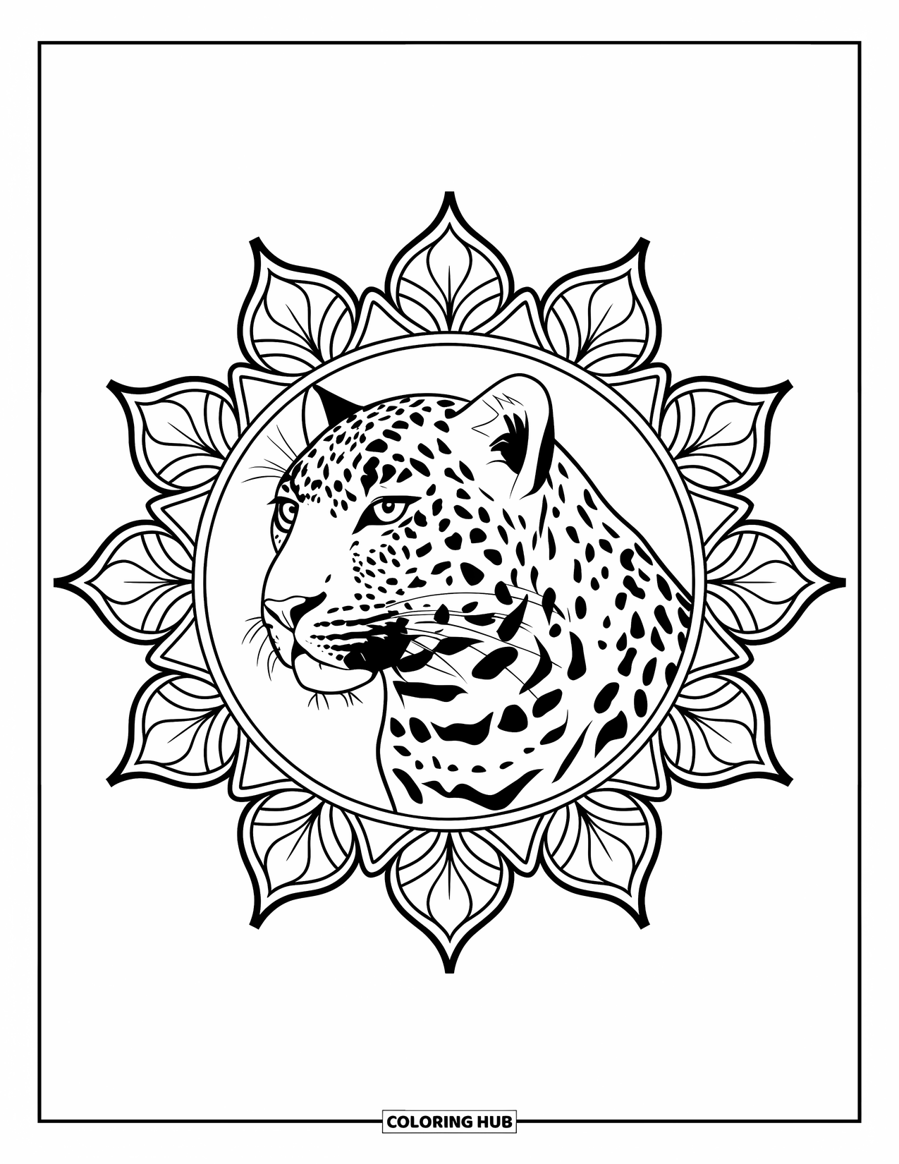 Big Cat Coloring Page for Adults: Leopard facing forward encircled by an ornate flower mandala