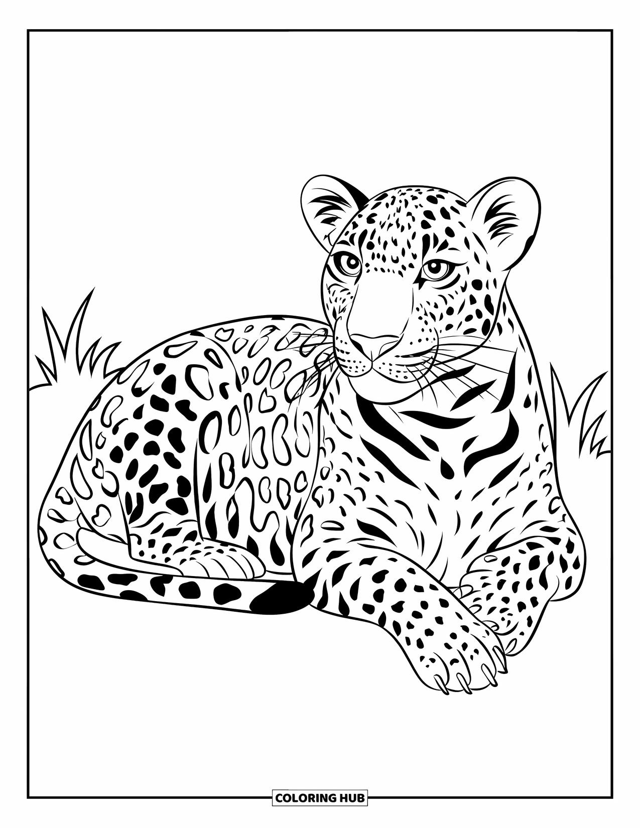 Big Cat Coloring Page for Kids: Leopard resting on grass with simple background