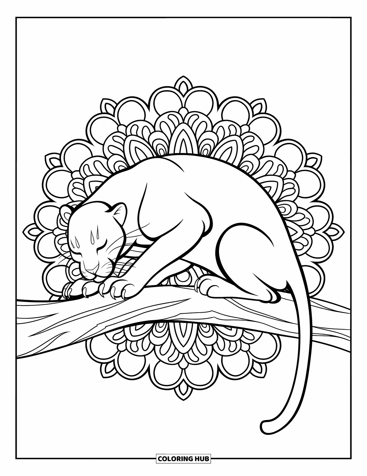 Black Panther Coloring Page for Adults: Panther crouched on branch surrounded by floral mandala