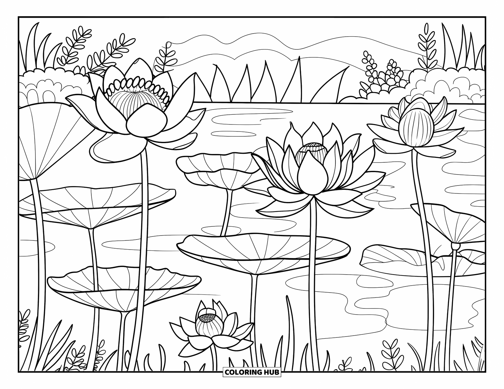 Calming Coloring Page for Adults: Calm pond with blooming lotus flowers, patterned petals, and a serene backdrop