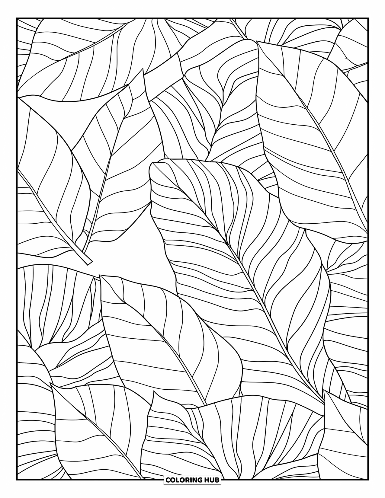 Calming Coloring Page for Adults: Large tropical leaves form a patterned wall with intricate details