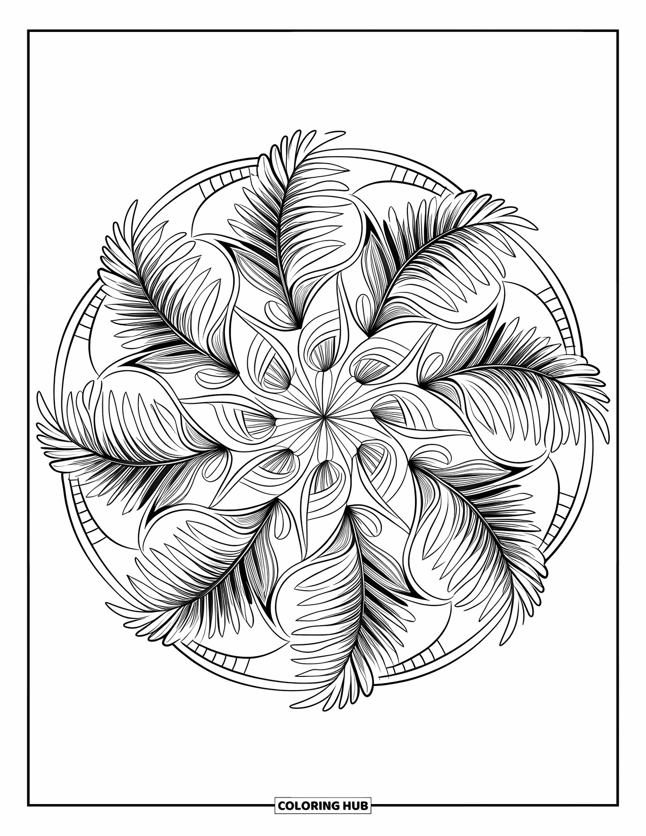 Calming Coloring Page for Adults: Mandala of fern leaves and curves with intricate, relaxing patterns