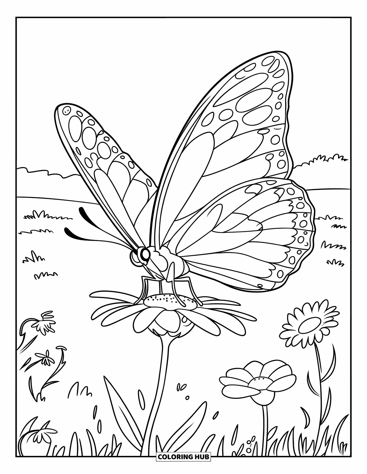 Calming Coloring Page for Kids: Butterfly touches down on a flower in a wide, flower-filled meadow