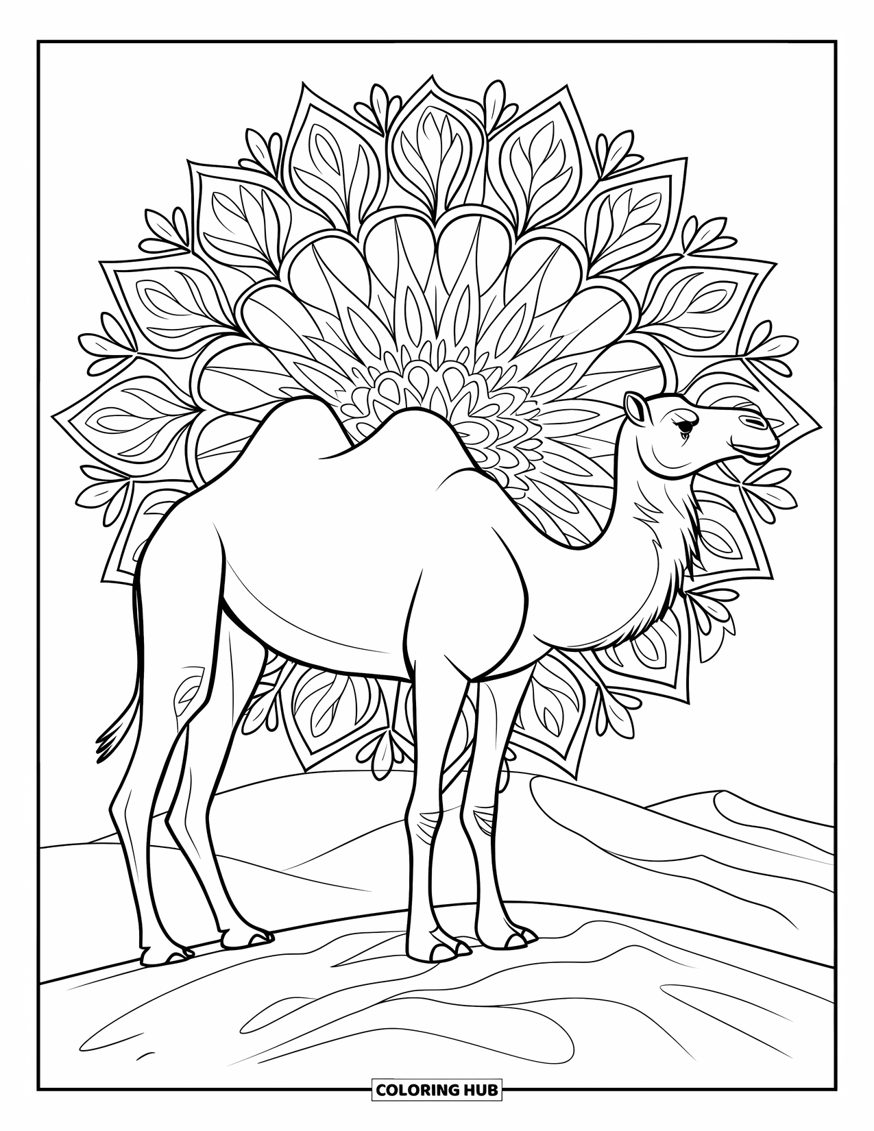 Camel Coloring Page for Adults: Camel side profile in a botanical mandala over desert dunes