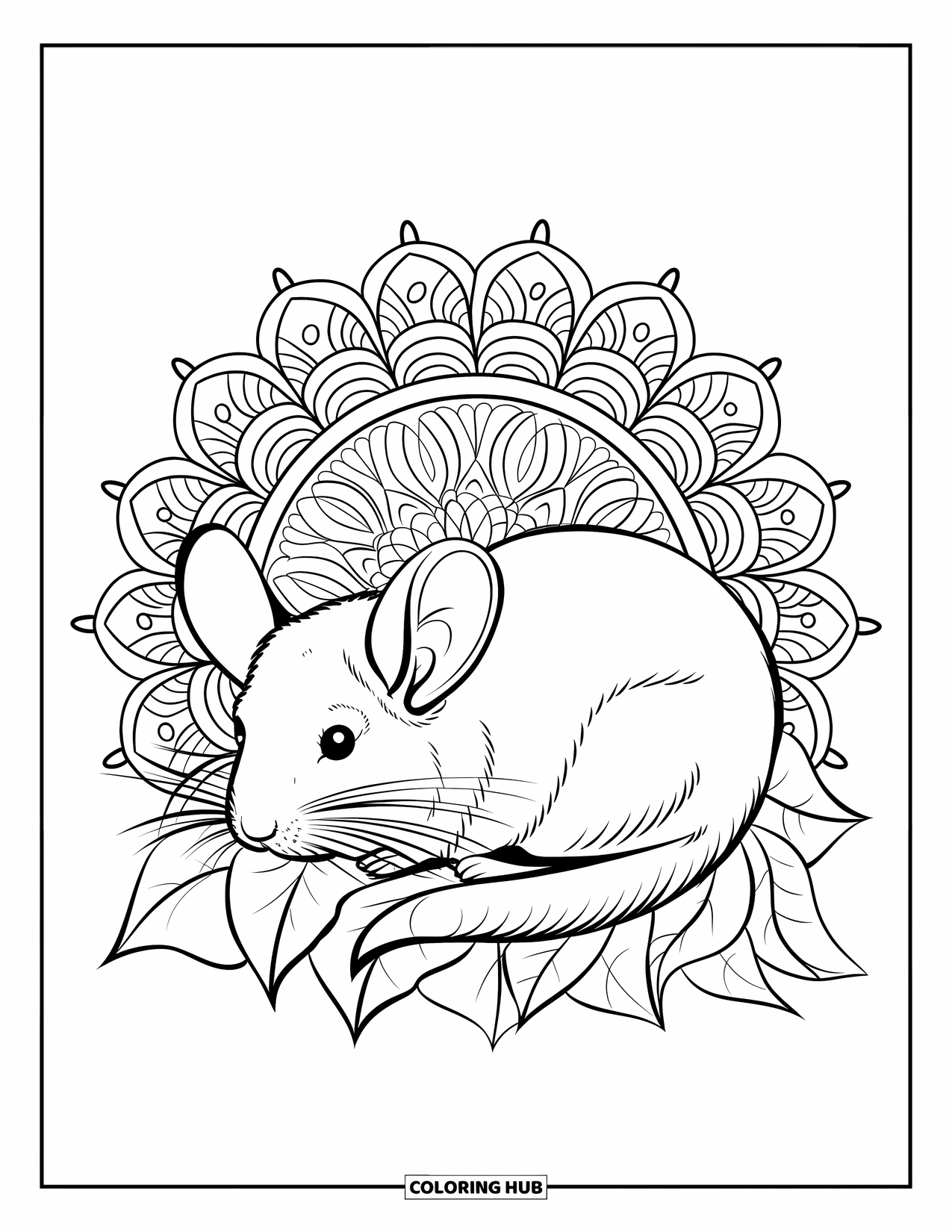 Chinchilla Coloring Page for Adults: A chinchilla rests in a leafy bed with floral mandalas swirling softly in the background