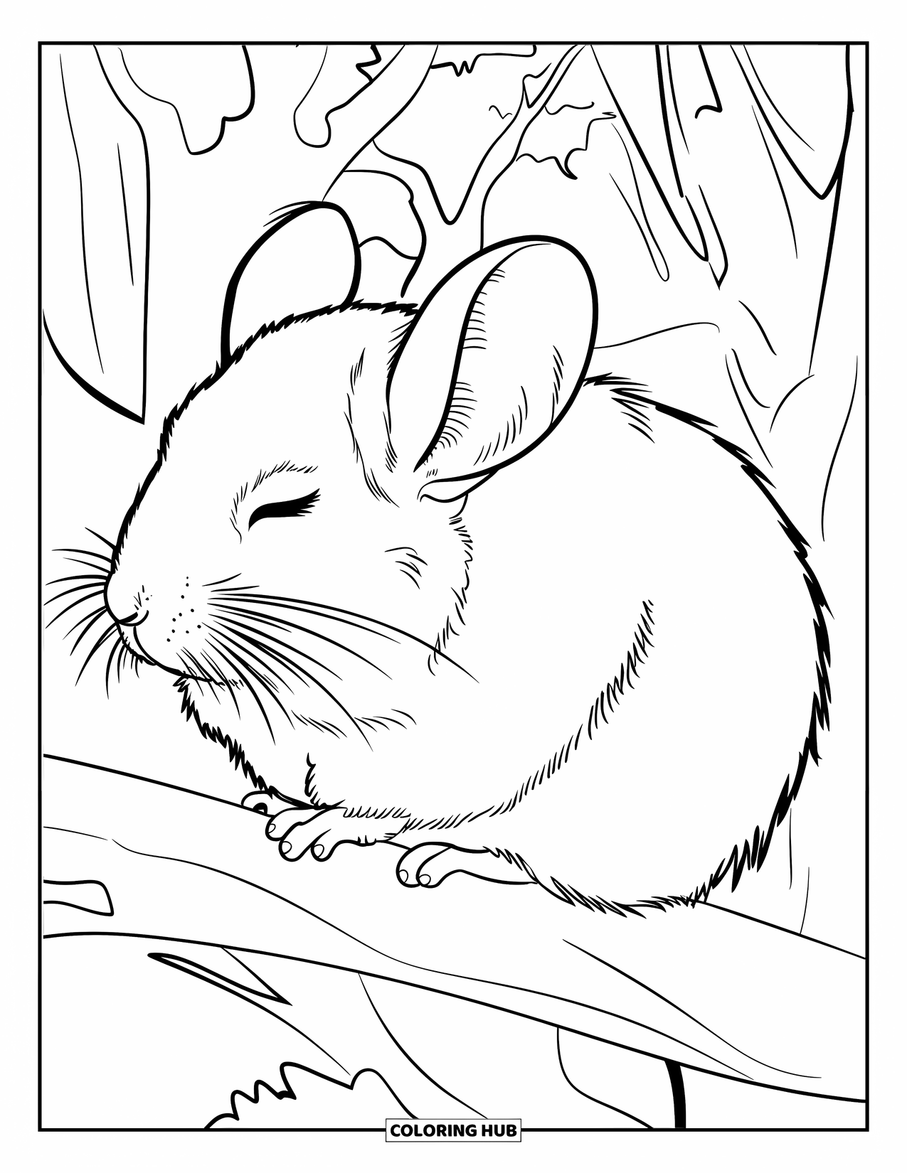 Chinchilla Coloring Page for Adults: A chinchilla sits on a branch with eyes closed in a quiet forest scene