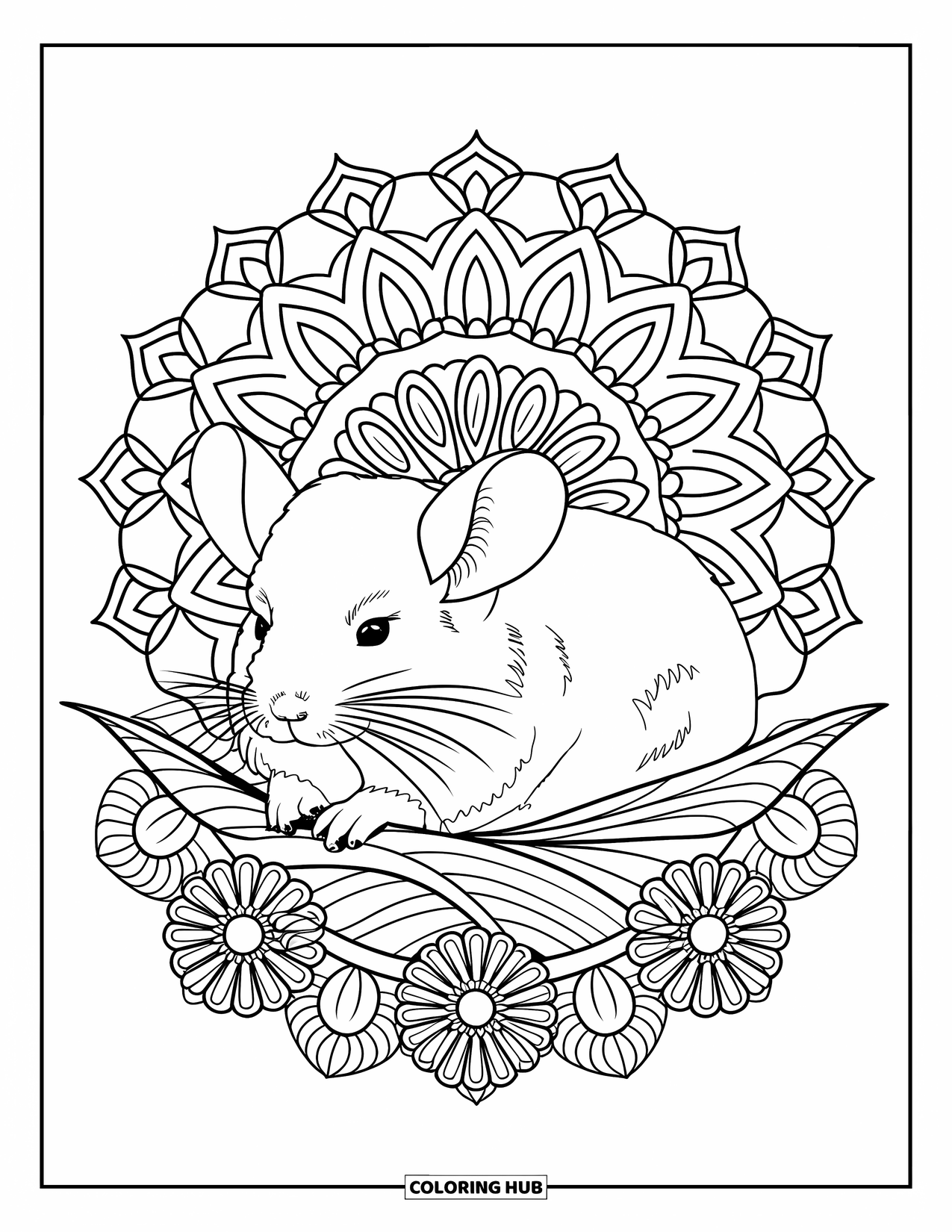 Chinchilla Coloring Page for Adults: A peaceful chinchilla sits in leaves surrounded by detailed floral mandalas and soft shapes