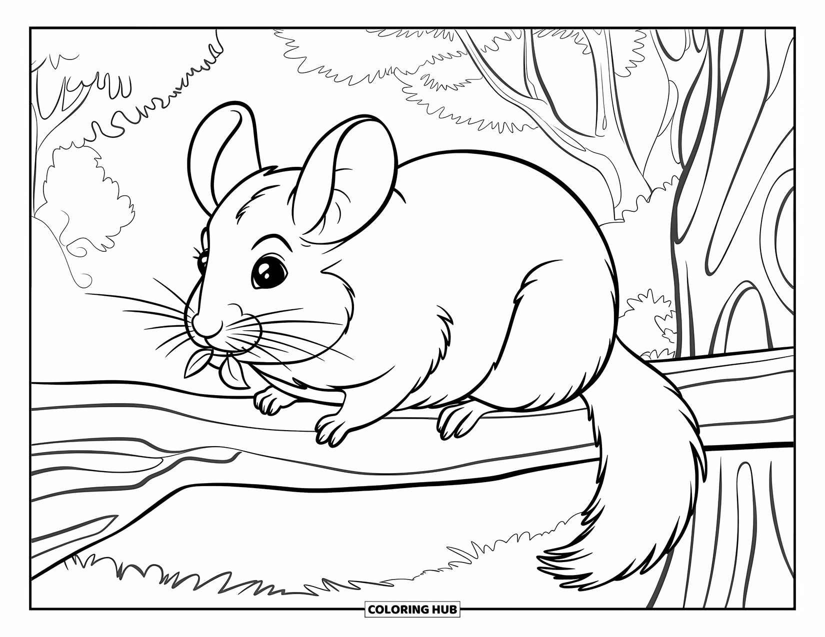 Chinchilla Coloring Page for Kids: Chinchilla nibbles a leaf while perched on a thick branch in the forest