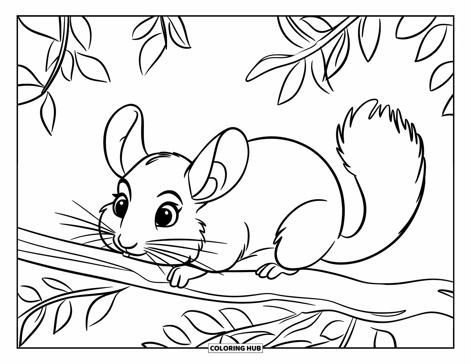 Chinchilla Coloring Page for Kids: Chinchilla nibbles on a leafy branch with curious eyes