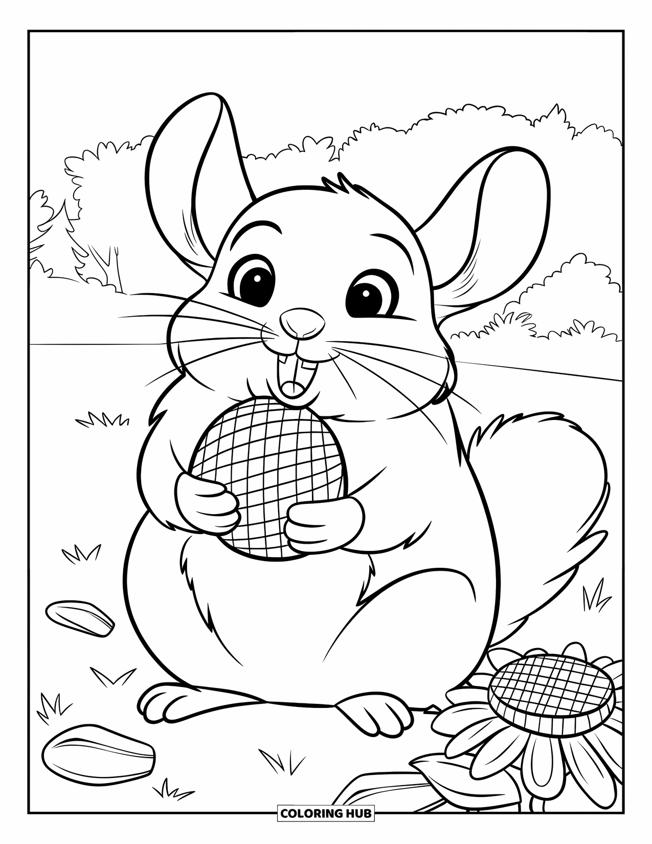 Chinchilla Coloring Page for Kids: Chinchilla sits in a field with sunflower seed shells scattered around