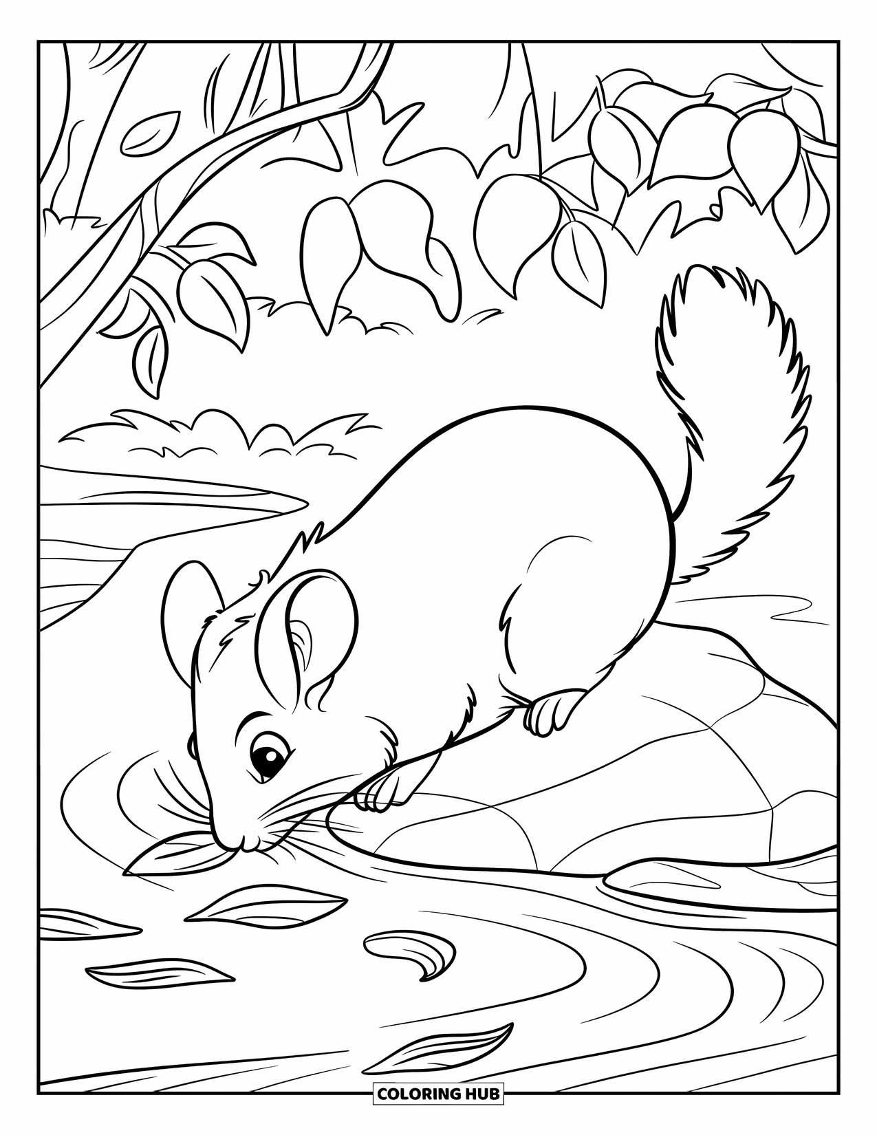 Chinchilla Coloring Page for Kids: Chinchilla sits on a streamside rock surrounded by leaves and peaceful trees