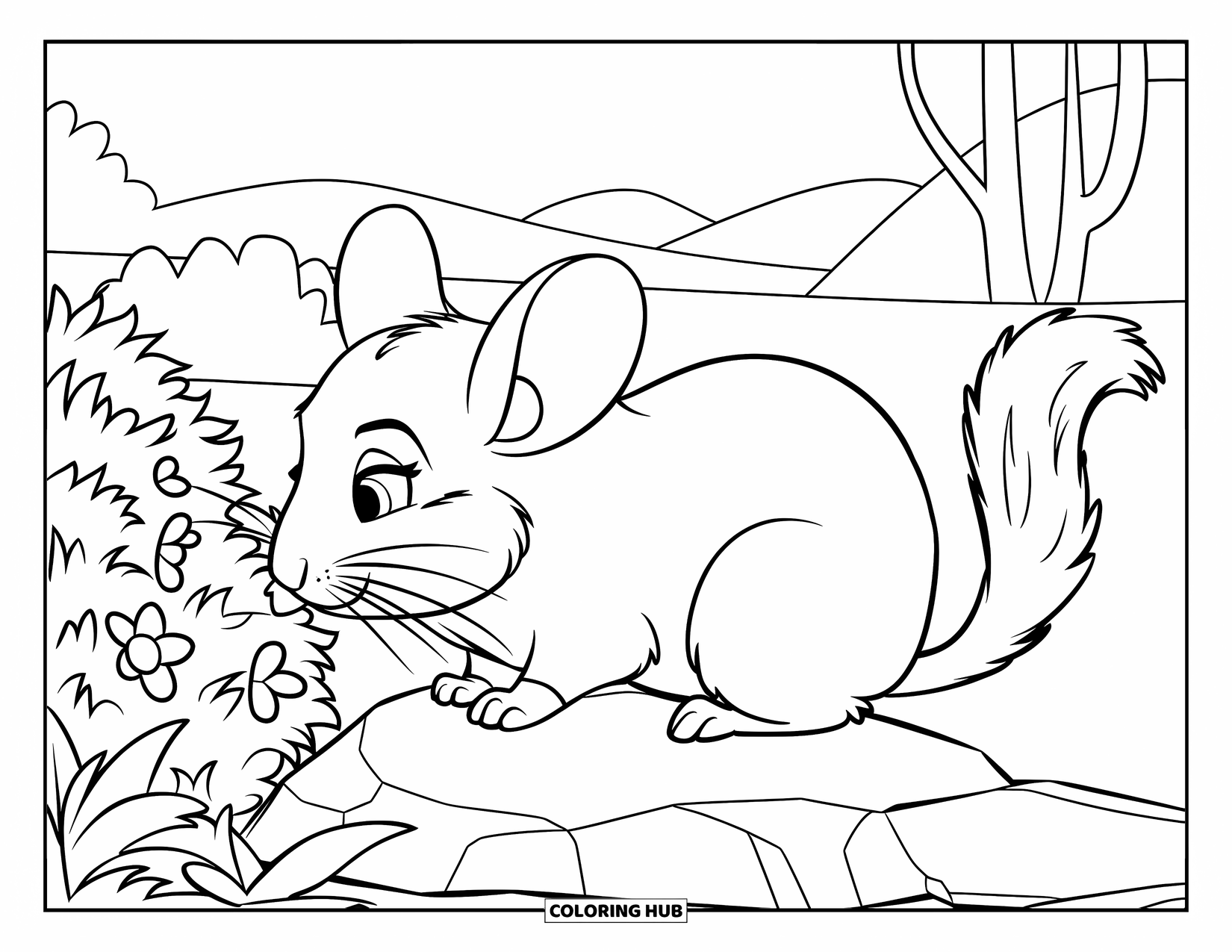 Chinchilla Coloring Page for Kids: Chinchilla sniffs flowers with a smile in a calm, scenic meadow