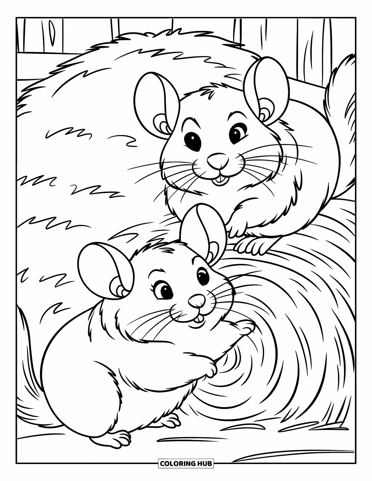 Chinchilla Coloring Page for Kids: Chubby chinchillas play near a hay pile in front of a wooden structure