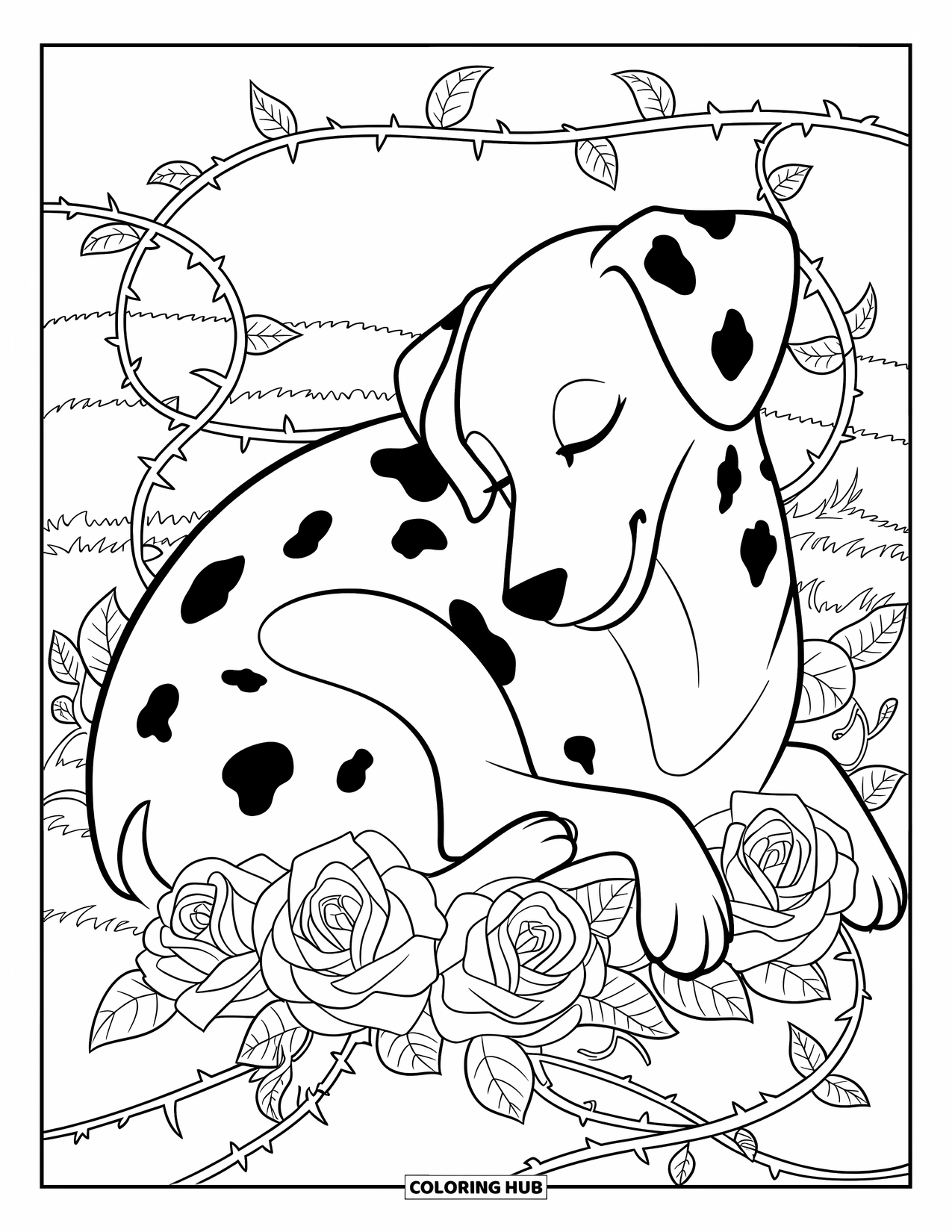 Dalmatian Coloring Page for Adults: A curled dalmatian lies on roses with thorny vines wrapping around