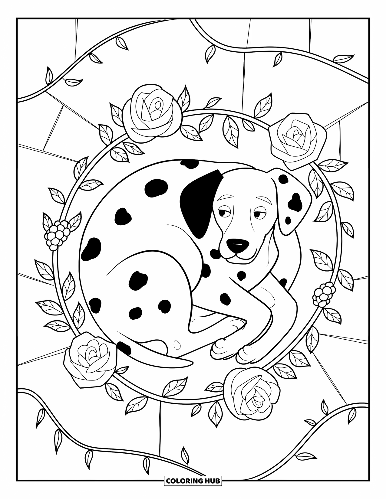 Dalmatian Coloring Page for Adults: A curled dalmatian sleeps surrounded by roses and winding vines