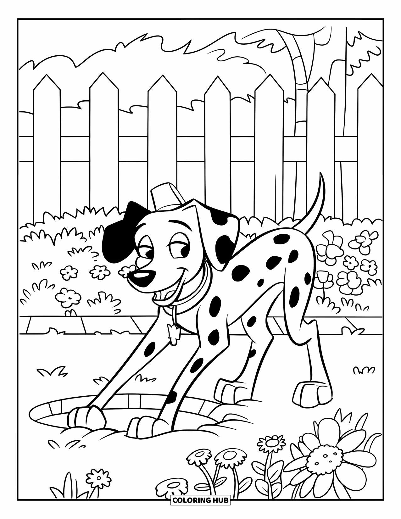 Dalmatian Coloring Page for Kids: A dalmatian in a hat digs dirt near a wooden fence of flowers