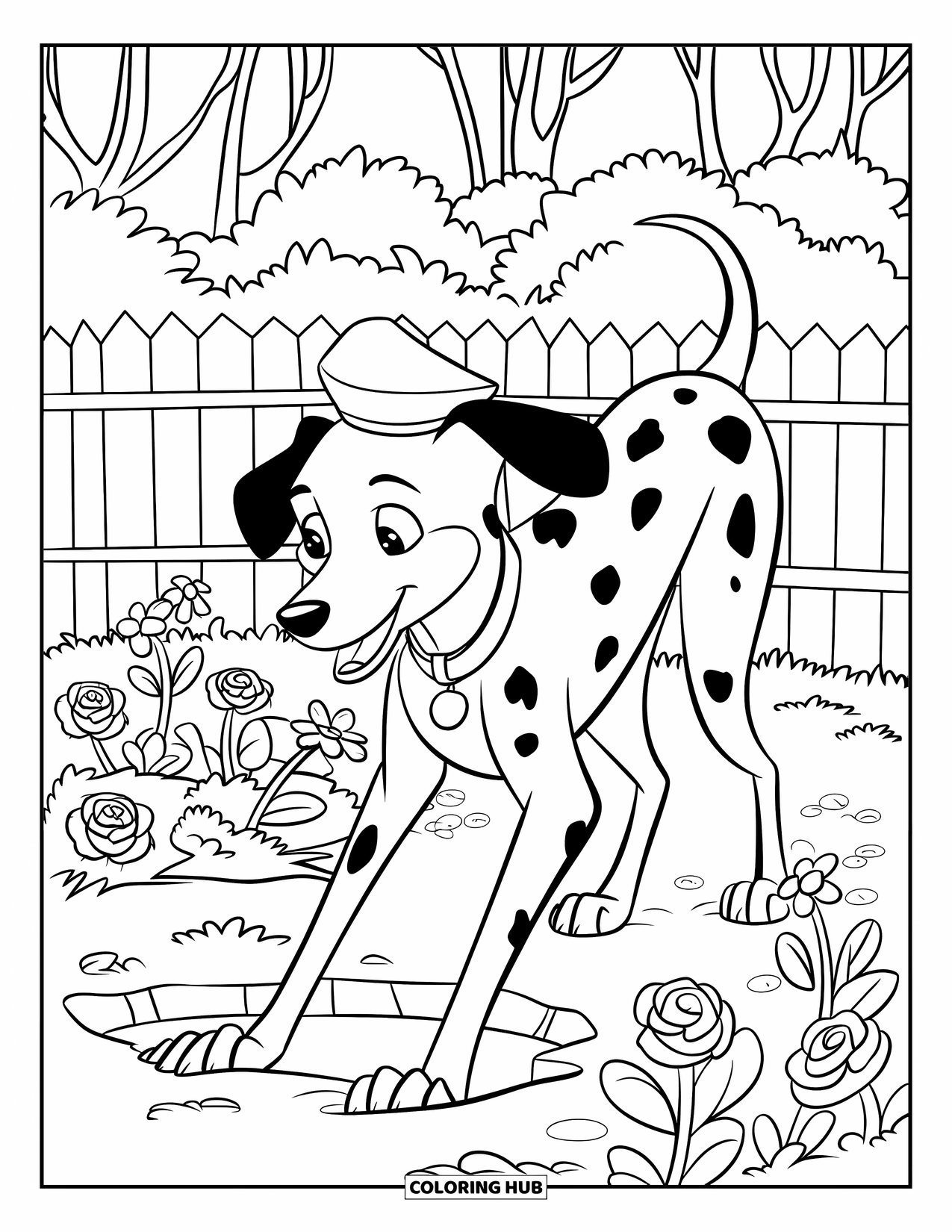 Dalmatian Coloring Page for Kids: A dalmatian wearing a hat digs a hole beside a flower bed