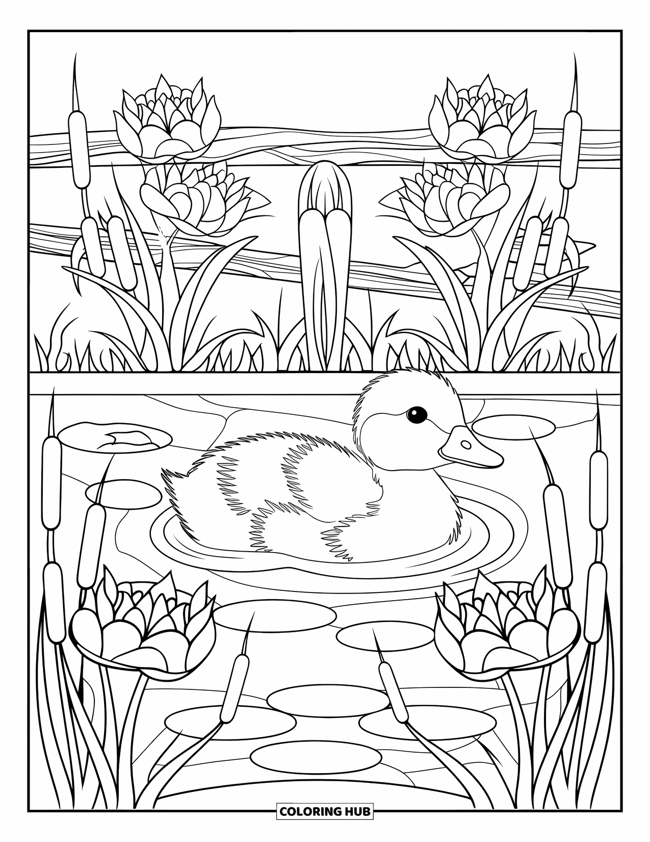 Duckling Coloring Page for Adults: Duckling in a pond with lilies and cattails along the shore