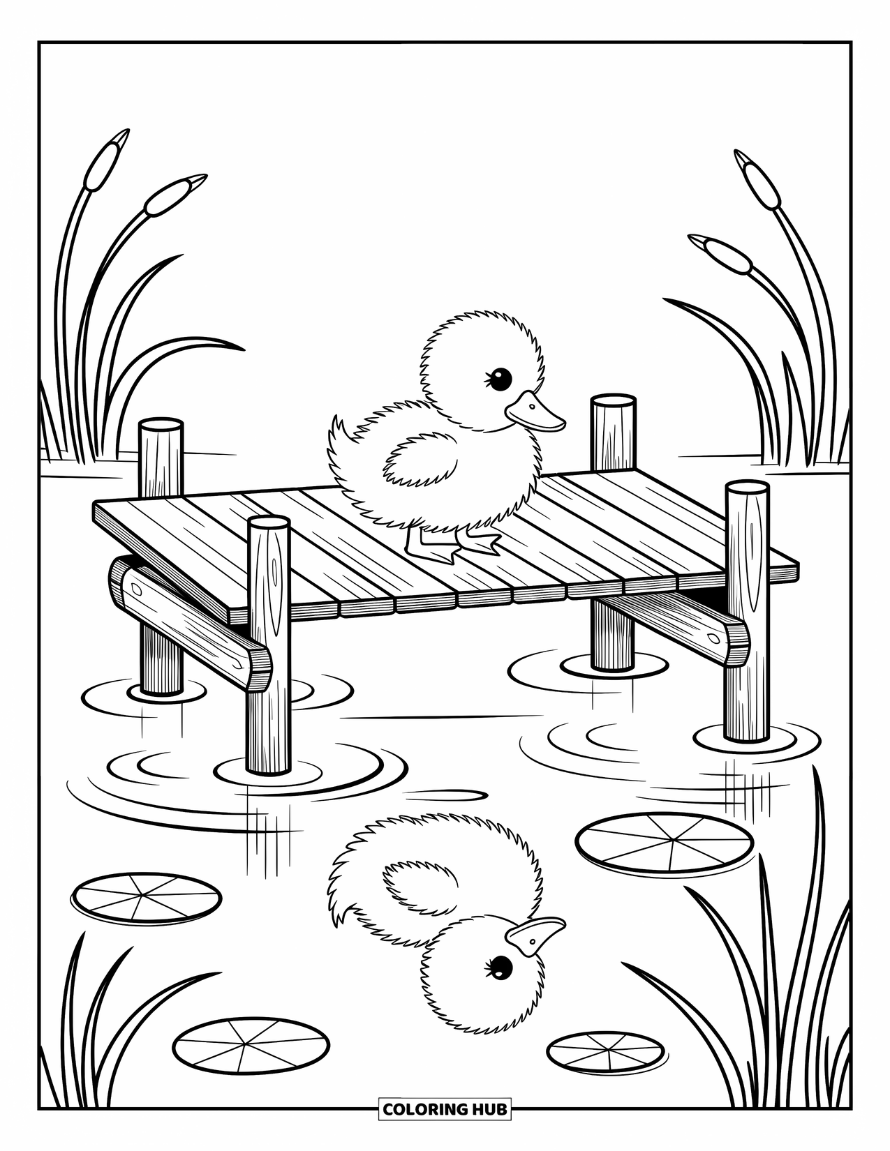Duckling Coloring Page for Adults: Duckling perches on a dock watching ripples with lily pads nearby