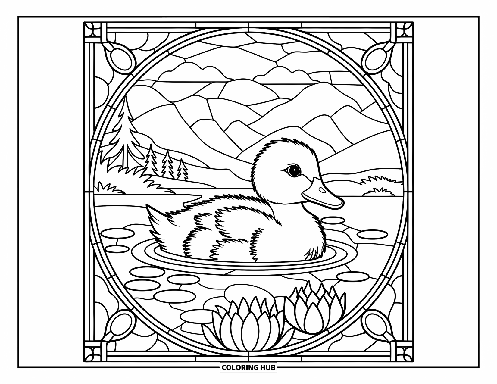 Duckling Coloring Page for Adults: Duckling swimming in a pond framed by blooming lotuses