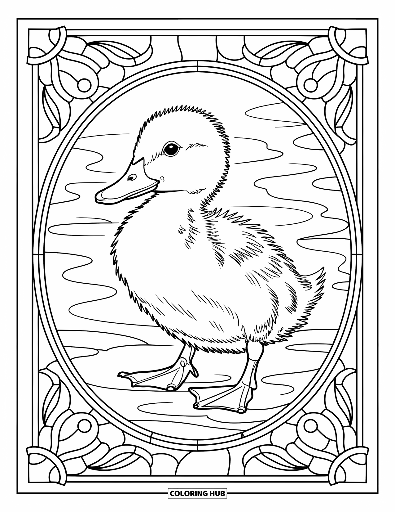 Duckling Coloring Page for Adults: Duckling with water ripple patterns in a stained glass frame