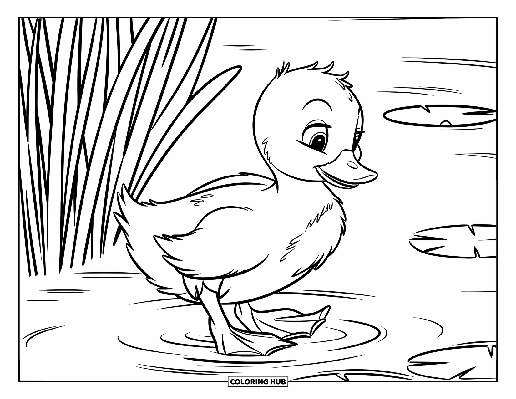 Duckling Coloring Page for Kids: Duckling walking on water near reeds and lily pads