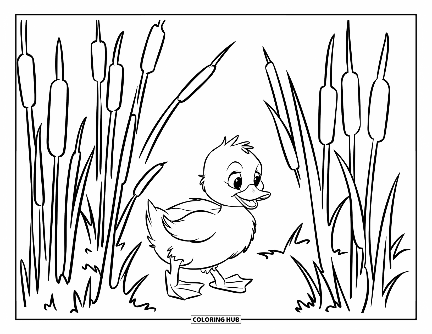 Duckling Coloring Page for Kids: Fluffy duckling strolling among tall cattails and reeds