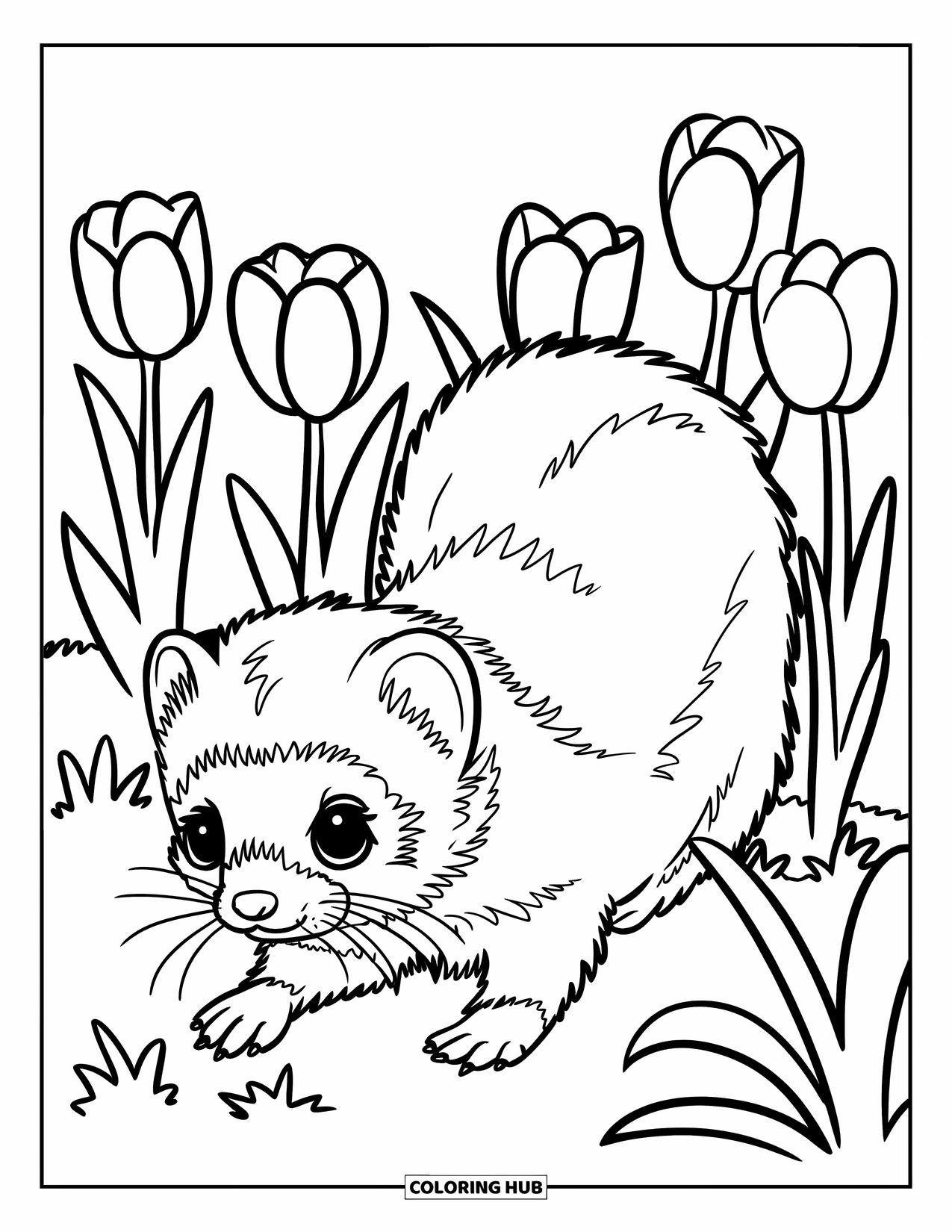 Ferret Coloring Page for Kids: A curious ferret explores a tulip garden with a white background