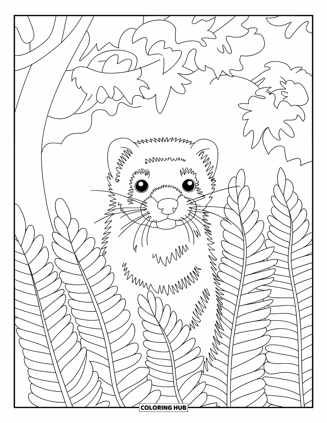 Ferret Coloring Page for Kids: A curious ferret peeks through ferns with trees in a simple forest scene