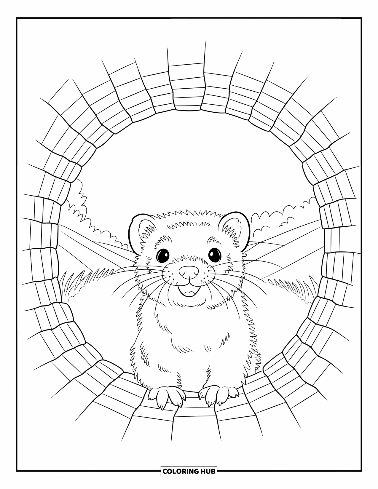 Ferret Coloring Page for Kids: A fluffy ferret peeks from a brick tunnel in a meadow under a blue sky