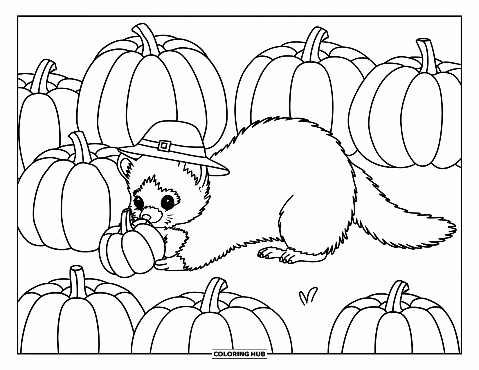 Ferret Coloring Page for Kids: A hat-wearing ferret holds a pumpkin in a patch full of pumpkins