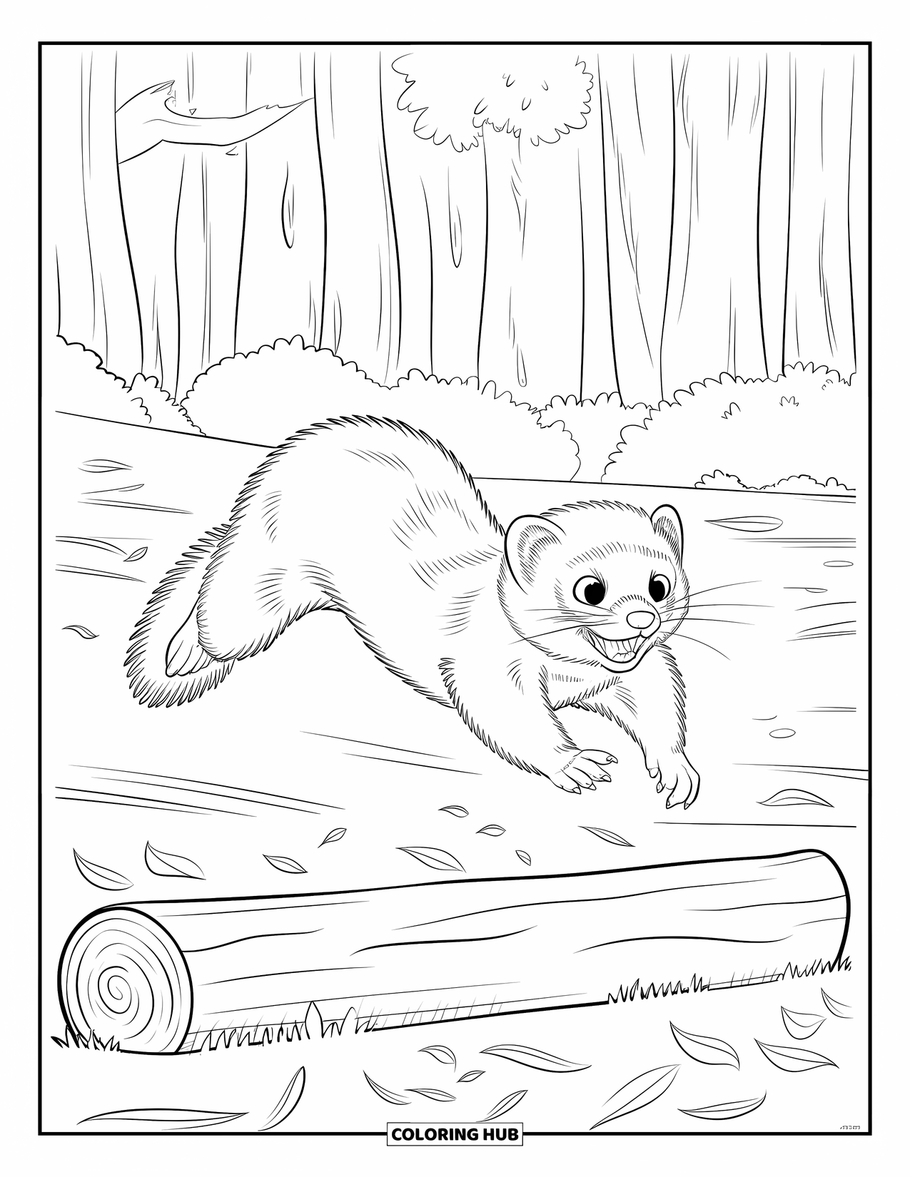 Ferret Coloring Page for Kids: A roaring ferret jumps over a forest log with leaves and tall trees around