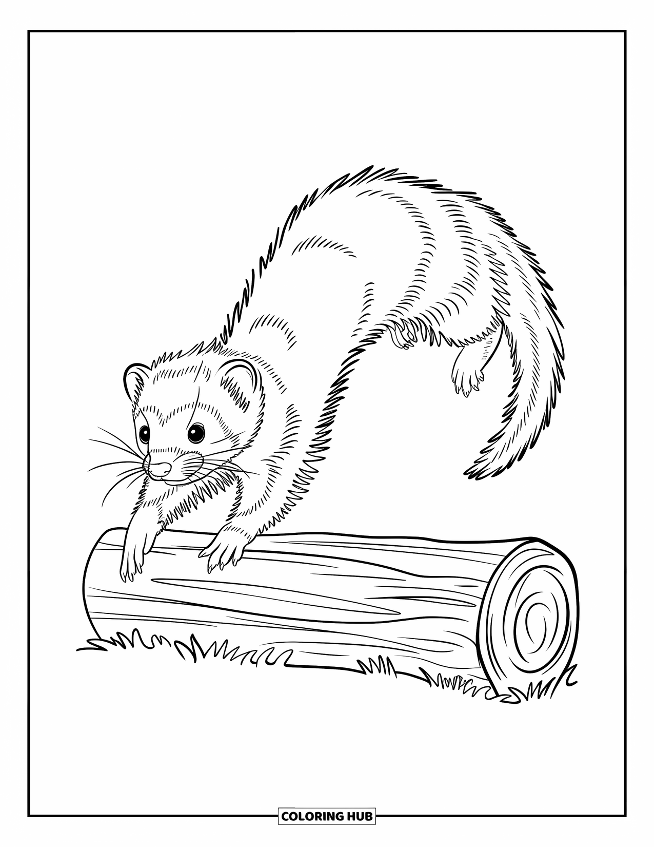 Ferret Coloring Page for Kids: A sleek ferret leaps over a log in a modern, expressive forest scene