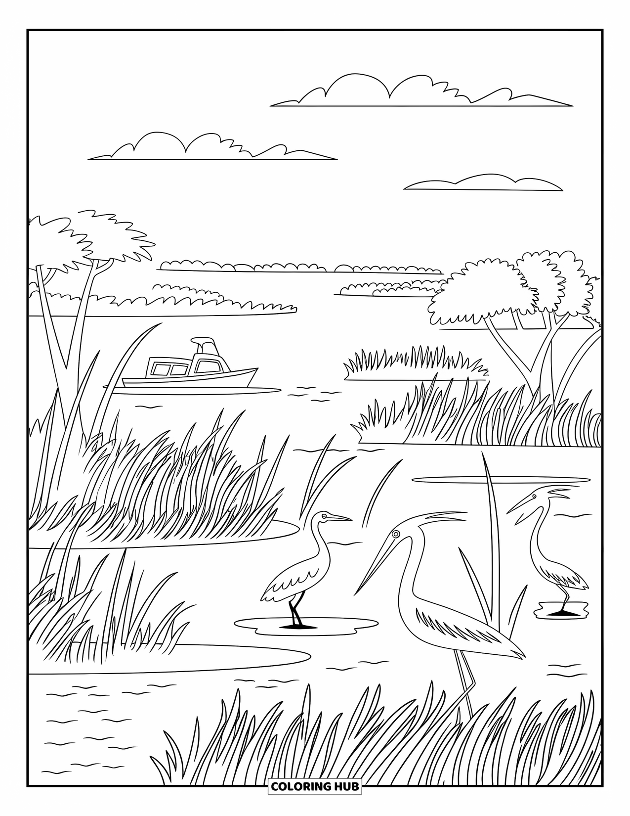 Florida Coloring Page for Adults: An airboat glides through Everglades wetlands with tall grasses and wading birds